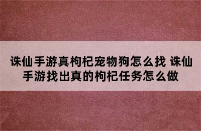 诛仙手游真枸杞宠物狗怎么找 诛仙手游找出真的枸杞任务怎么做